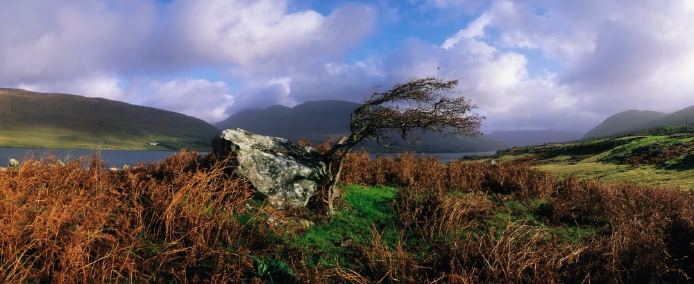 Killary Harbour Connemara Co Galway Ireland Irelands Only Fjord Canvas Art - The Irish Image Collection Design Pics (31 x 12)