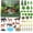 Forest, variant on 48 count Rainforest Diorama Kit Habitat Project Box Set Rain Forest Diorama Supplies Include Rainforest Figures Tropical Forest Leaves Rocks for 2026 VBS Party Decoration
