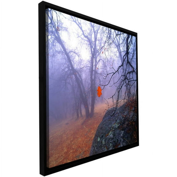 ArtWall Dean Uhlinger "Nearly Winter" Floater Framed Gallery-Wrapped Canvas