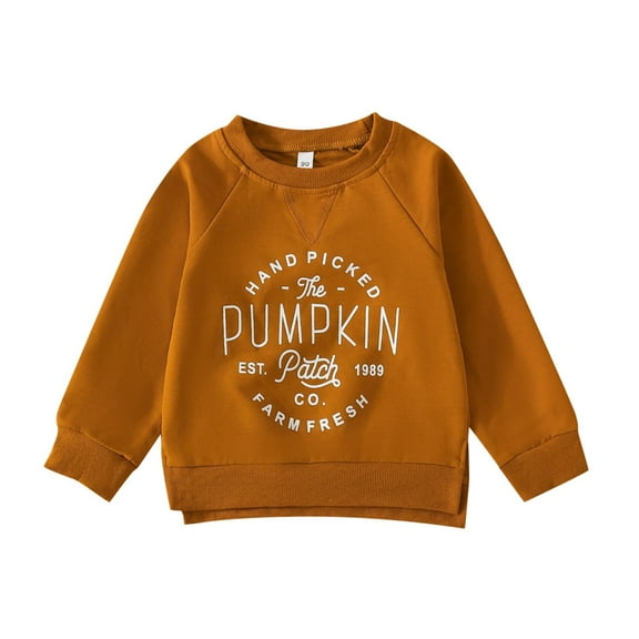 Adeawade Kids Boy Tops 3-4 Years Hallomas Outfit Pumpkin Sweatshirt Crewneck Pullover Sweater Long Sleeve Shirt Fall Tee Trend Outfits Brown
