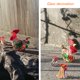 thumbnail image 3 of Escultura de pollo de vidrio soplado hecha a mano, artesanías artísticas de gallo de vidrio, figuritas de animales, adornos de decoración del hogar, 2 uds., 3 of 5