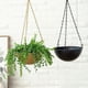 thumbnail image 5 of Macetas colgantes de metal Yuarrent para interiores y exteriores Cesta colgante de flores dorada S, 5 of 6
