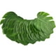 thumbnail image 1 of 30PCS Monstera simulada Decoración de hojas Realista Adorno de hojas verdes Plantas artificiales Adorno de hojas Suministros de decoración creativa para el hogar (Verde Tamaño mediano de 8 pulgadas), 1 of 5