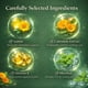 thumbnail image 2 of Lutein Eye Care Ball, solución para el cuidado de los ojos de 10 ml, 2 of 3