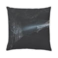 thumbnail image 2 of Ahgly Company Earth Waterfall Outdoor Throw Pillow, 18 inch by 18 inch, 2 of 6