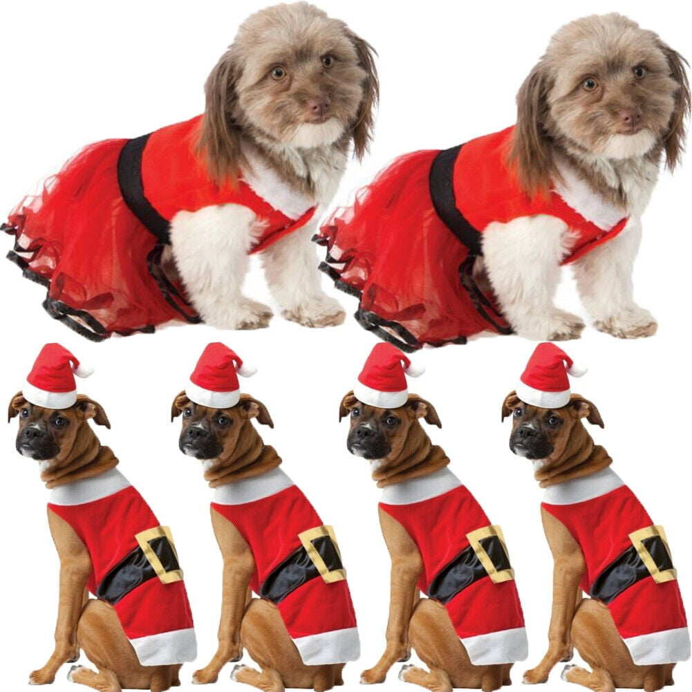 puppy christmas clothes