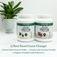 thumbnail image 5 of Vitauthority Vita Plant Organic Plant Based Protein Powder for Women, Vanilla, 30 Servings, 5 of 6