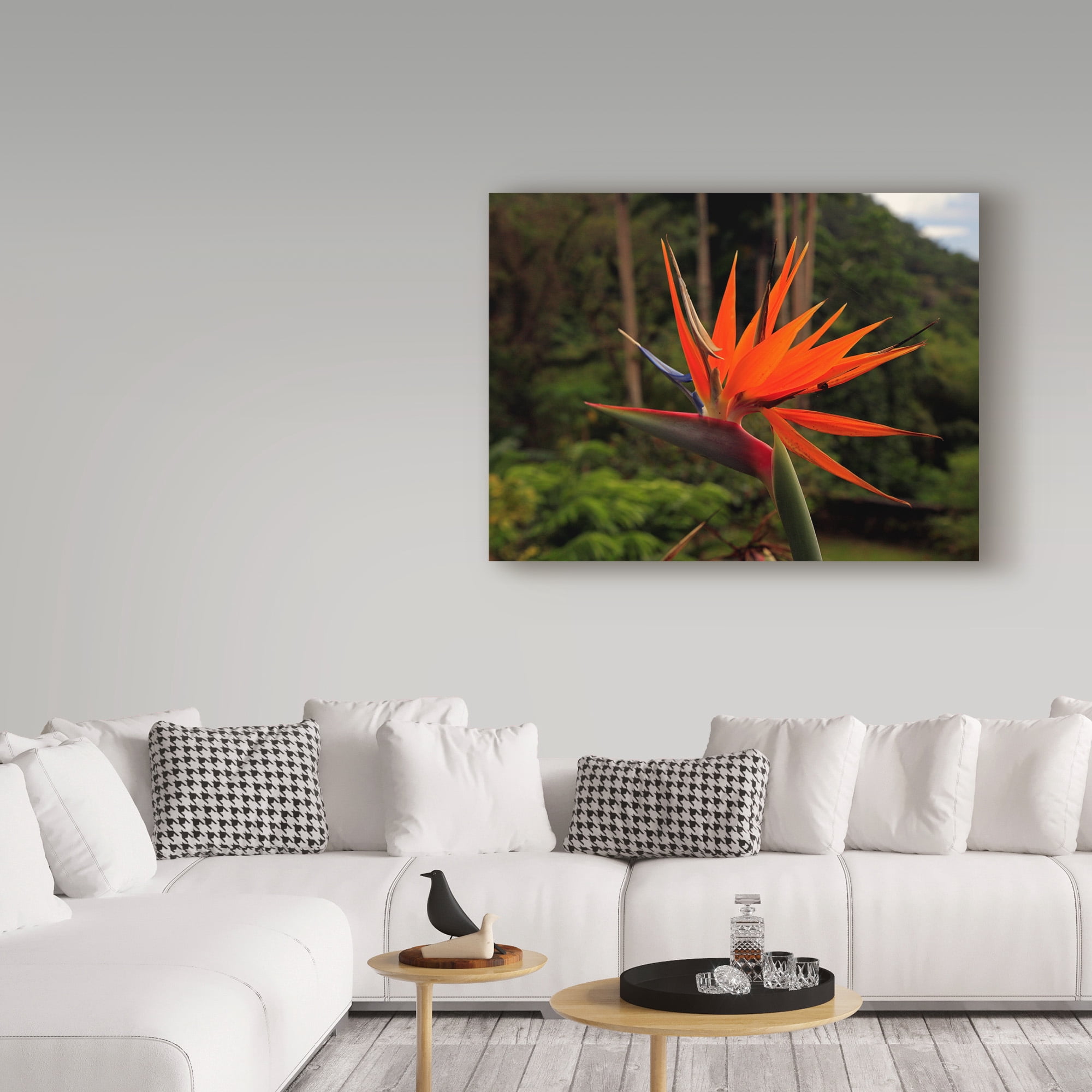 Trademark Fine Art 'Bird Of Paradise Red' Canvas Art by J.D. Mcfarlan