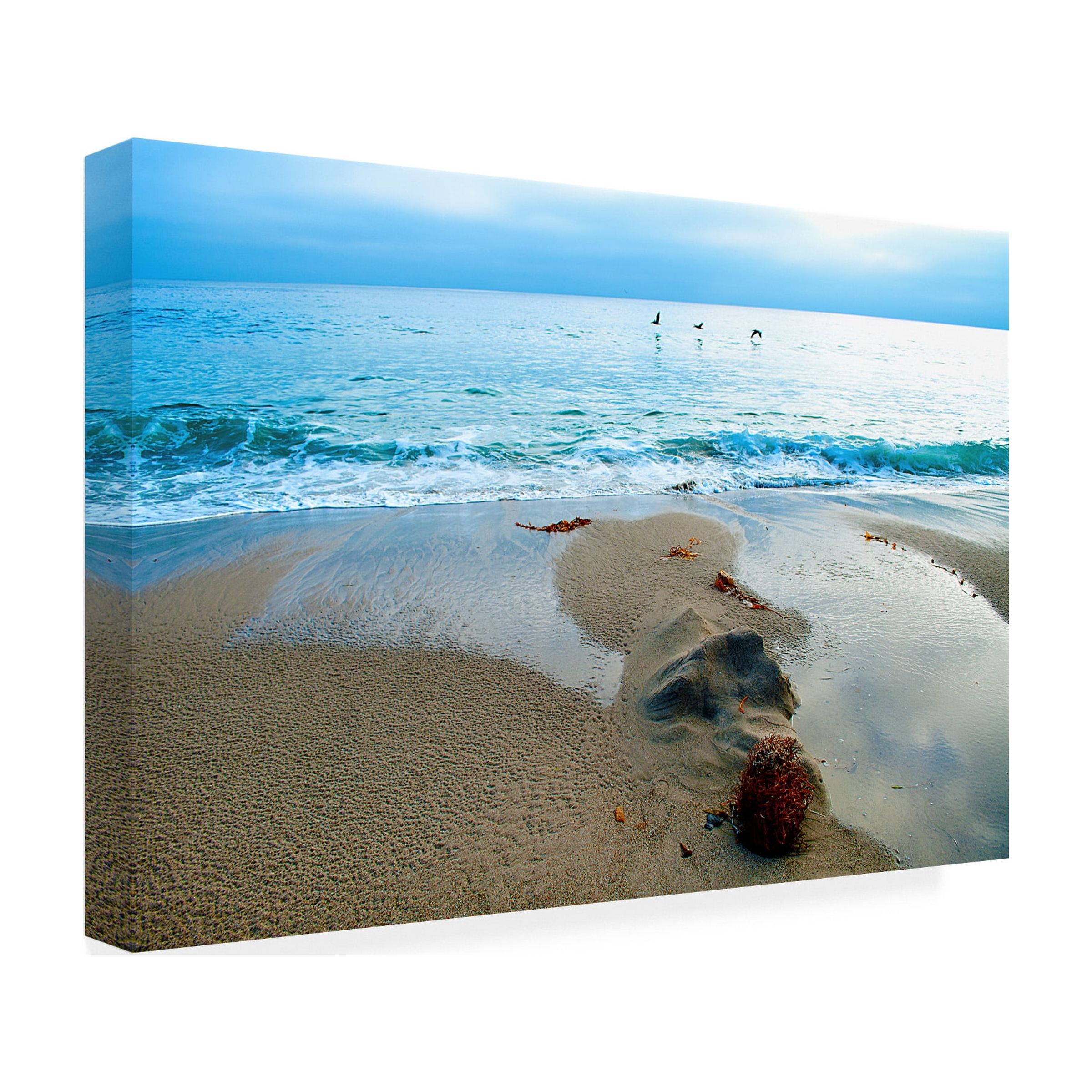 Trademark Fine Art 'Zuma Beach, Ca' Canvas Art by Lori Hutchison