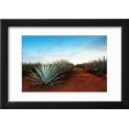 thumbnail image 2 of Agave Tequila Landscape to Guadalajara, Jalisco, Mexico Framed Print Wall Art by Jesus Cervantes Sold by Art.Com, 2 of 5