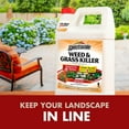 Spectracide Weed And Grass Killer Concentrate 1 Gallon, Use On Patios