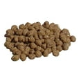C&S Peanut NoMelt Fresh Suet Dough Nuggets, 8 lb, Wild Bird Food 1