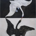 thumbnail image 3 of Hilma af Klint 12x12 Black Modern Framed Museum Art Print Titled - Group IX-Suw, the Swan, No. 1 (1915), 3 of 5