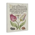 thumbnail image 3 of Stupell Industries Shabby Chic Vintage Intertwined Flowers Canvas Art, 30 x 40, by June Erica Vess, 3 of 8