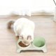 thumbnail image 4 of Comedero y bebedero doble inclinado para mascotas: diseño ergonómico que protege la columna cervical, base antideslizante que evita que se vuelque, plástico seguro para gatos y perros., 4 of 6