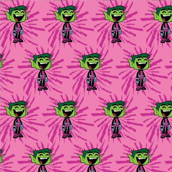 Teen Titans Go! Beast Boy Premium Roll Gift Wrap Wrapping Paper