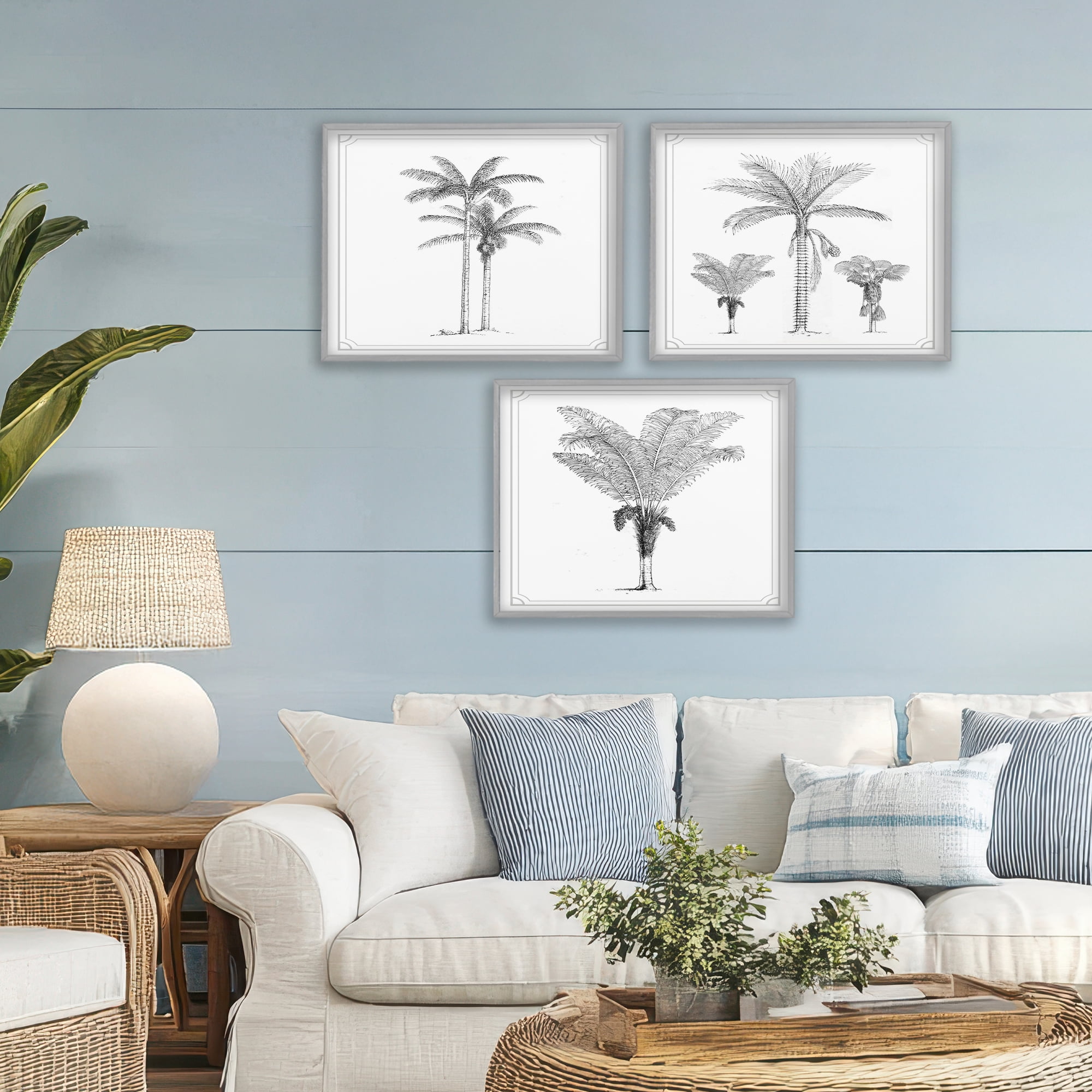 Minimal Vintage Palm Tree Sketches 3 Piece Gray Framed Giclee Art Set, design by Lettered and Lined