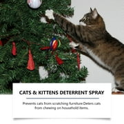 AUHomi Cat Deterrent Spray, Natural Cat Repellent Spray for Furniture, Safe Indoor & Outdoor Training Aid for Urine Marking & Anti-Scratch, Protects Home Safely And Harmlessly, 100ML