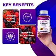 (2 pack) Vitamatic Stress Relief Gummies with GABA, L-Theanine, Lemon Balm – Lemon & Mixed Berry Flavor – 60 Gummies – Vegan, Non-GMO, Gluten-Free