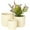 Cream Geometric Geometric Round S/3 7", 6", 5"W, variant on DecMode 7", 6", 5"W Cream Ceramic Geometric Planter with Layered Square Shaped Grooves (3 Count)