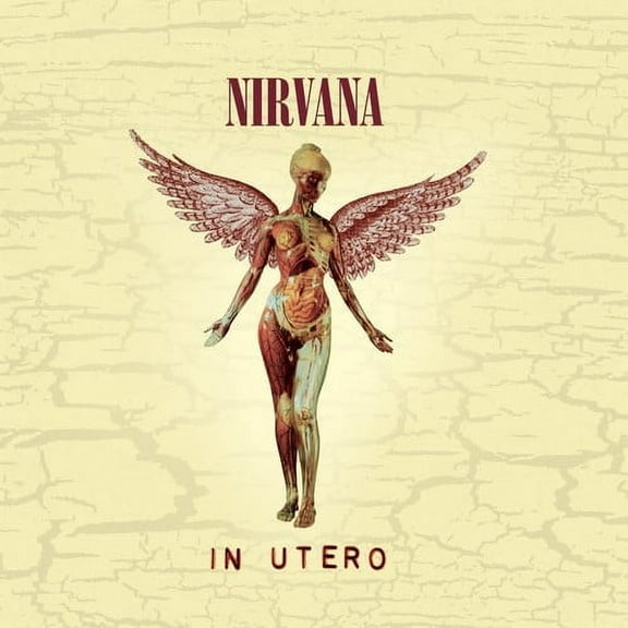 Nirvana - In Utero (20th Anniversary Edition) - Music & Performance - CD