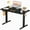Black, variant on EverPick Electric Standing Desk 40/48/55/63 Inch Height Adjustable Desk, 4 Memory Presets，Motorized Sit Stand Desk with Quiet Dual Motor, Modern Ergonomic Computer Desk for Home Office