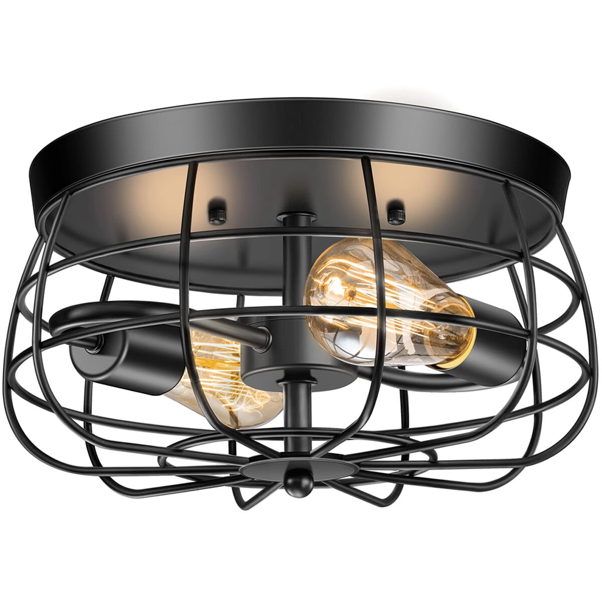 Flush Mount Ceiling Light Fixtures 2 Light Ceiling Light Fixtures with