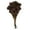 Violet, variant on Vickerman 12-16" Violet Brunia, 4 oz Bundle, Preserved
