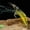 F, variant on Fishing Gear Glow In The Dark Soft Freshwater Snakemouth Mandarin Fish for Relaxed Casting and Night Fishing Experience
