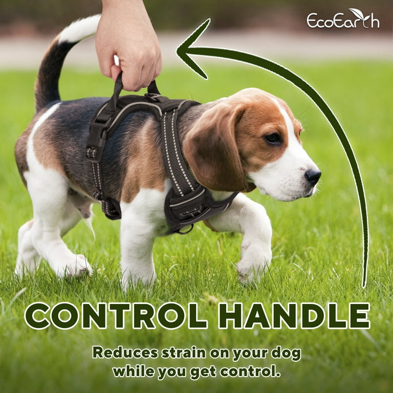 Dog harness top front fastening