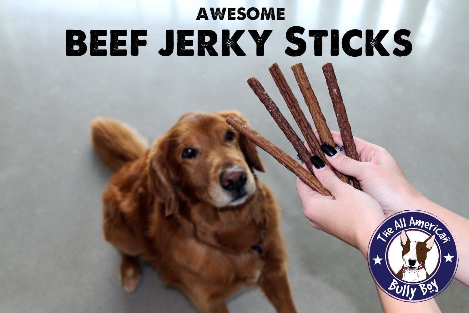 Bully Boy Pets USA Made Smoked Gourmet Dog Jerky Treat 12oz Chicken Sticks (Pack of 13)