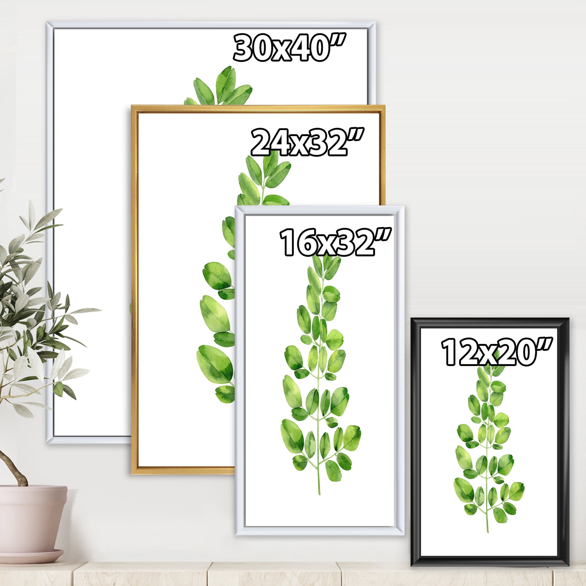 Designart 'Moringa Plant Branch Tropical Tree Foliage' Farmhouse Framed Canvas Wall Art Print