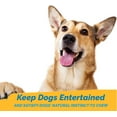 thumbnail image 5 of Beef Tendon Dog Chews | Snacks Made from Tendons in USA | 7-9 inches - Stick for Dogs (8oz Bag) by 123 Treats, 5 of 9