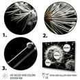 thumbnail image 3 of Designart "White Black Dandelion II" Floral Floater Framed Wall Art Print, 3 of 7