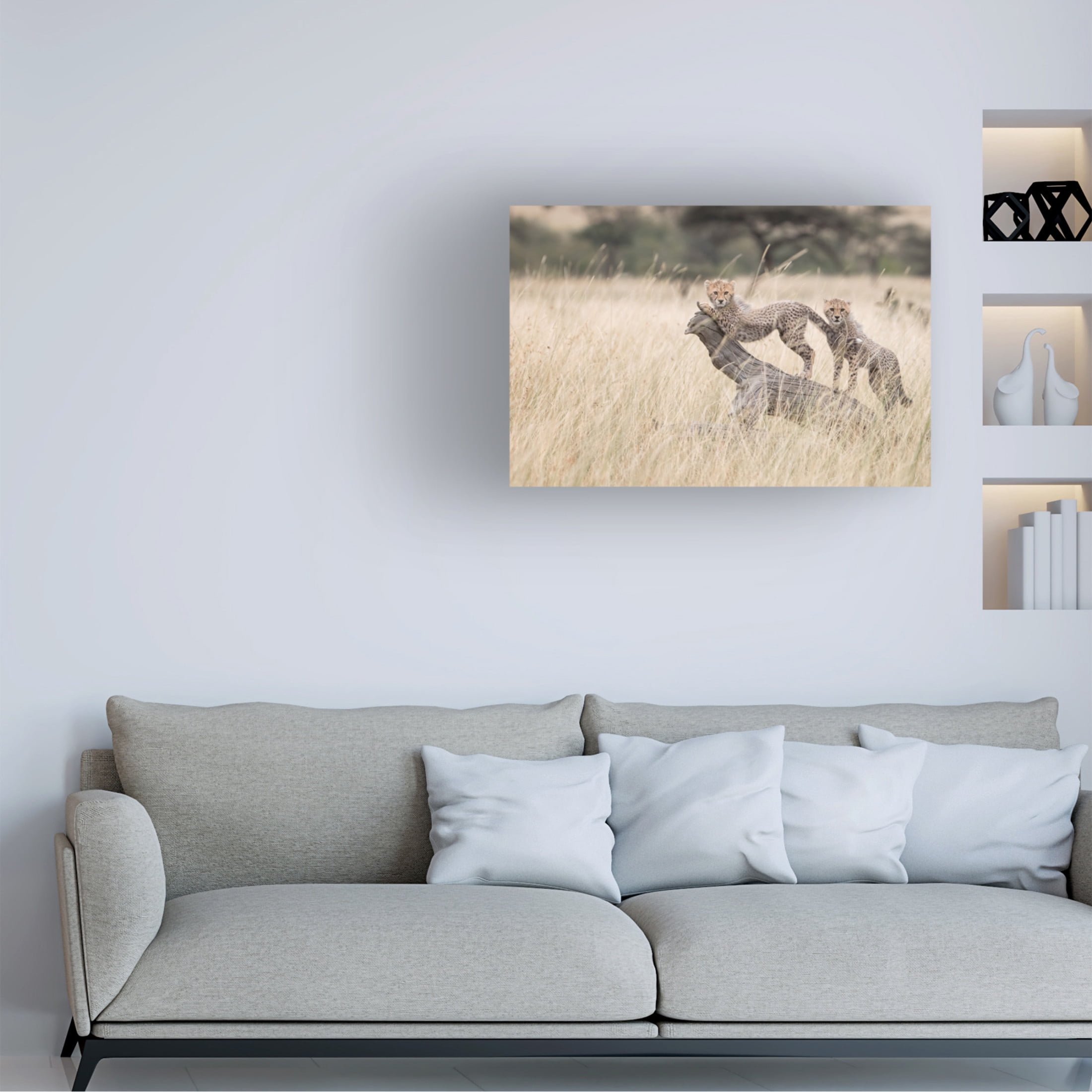 Canvas Wall Art - Renee Doyle 'Curious Kitties' Wall Art for Living Room, Bedroom, or Office Décor by Trademark Fine Art - 19 x 12 Inches