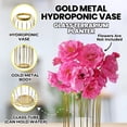 thumbnail image 3 of Gold Metal Hydroponic Vase, Glass Terrarium Planter, Propagation Vase Home Decor 9 inch 22 cm, 3 of 6