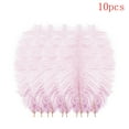 thumbnail image 2 of 10 Pcs Multicolor Plumage, Colorful Ostrich Plumes, Wedding Wall Decoration, Feather Ornament, Popular Wall Art Decor, Party Layout Accessory, Home Aesthetic Craft Embellishment (Light Pink), 2 of 3