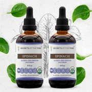 Secrets Of The Tribe Spinach Organic Dietary Supplement, Natural Herbal Tincture for Nutritional Support, Certified Organic Spinach Flakes (Spinacia oleracea) Dried Leaf, Alcohol-Free Extract, 2x4 oz
