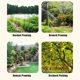 thumbnail image 5 of Podadora de jardín de acero inoxidable, tijeras multifuncionales para ramas, para recoger fruta y podar bonsáis, 5 of 6