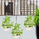 thumbnail image 3 of Paquete de 6 poleas para plantas retráctiles H polea para plantas de fácil acceso rueda ajustable H para colgar, 3 of 3