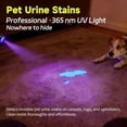 thumbnail image 3 of Pet odor and stain remover and UV flashlight, urine detector, detects and cleans urine stains, powerfully removes organic stains and odors, such as dog urine, cat urine, and feces, 3 of 4