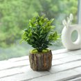 thumbnail image 2 of Fake Plant Plant Realistic: Wooden Pot Artificial Plant Desktop Plant Decoration, 2 of 3