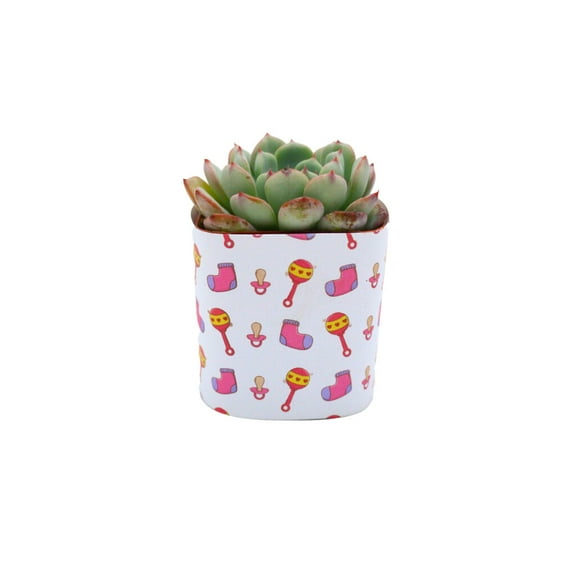 Plants Of Joy Red Print Succulent Wraps for Weddings, Baby Shower, and Party Favors. 25 Count Pack.
