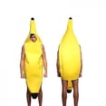 thumbnail image 2 of Disfraz de baile HUOGUO, fiesta de carnaval, fruta y plátano, para adulto, 2 of 5