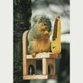 thumbnail image 1 of Songbird Essentials SE547 Squirrel Feeder Chair (Set of 1), 1 of 3