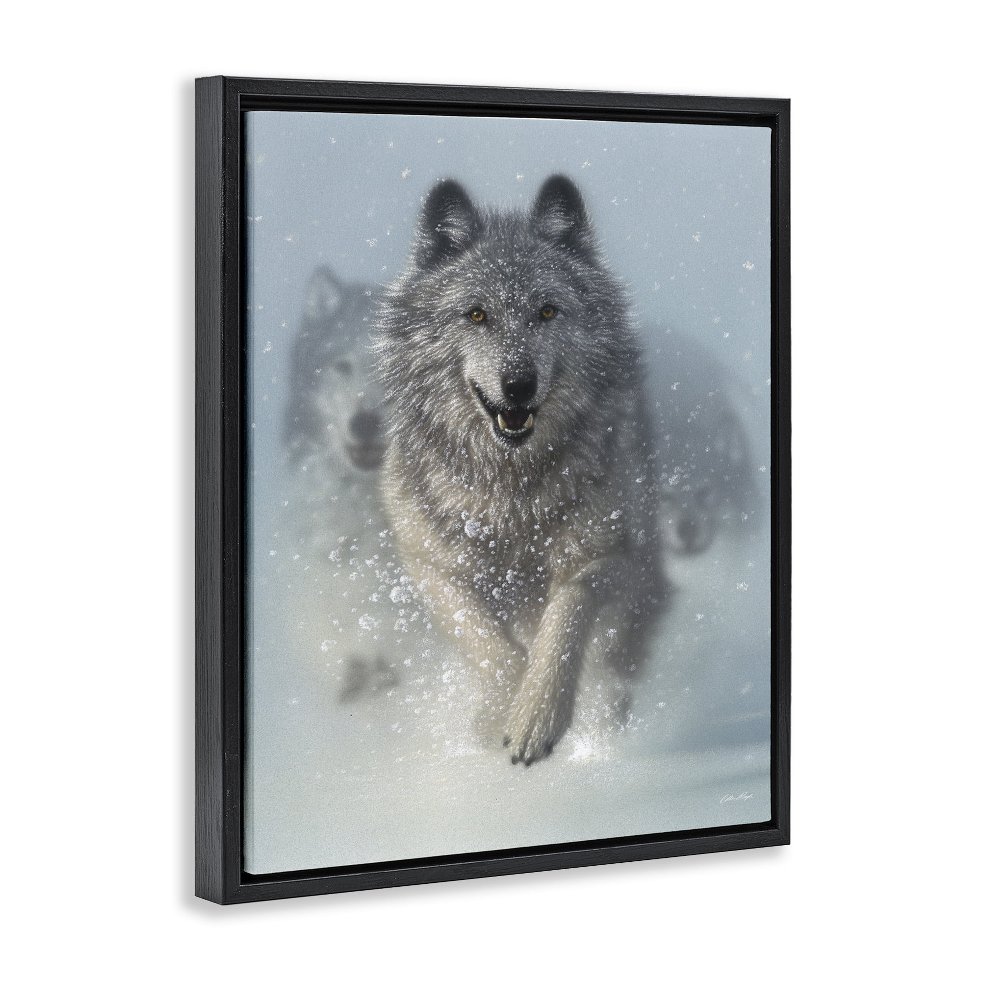 Stupell Industries Wolves Running Through Snow Animals & Insects Photography Black Floater Framed Canvas Art Print Wall Art, 25 x 31