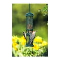 thumbnail image 3 of Brome Squirrel Buster Squirrel-Proof Bird Feeder for Nuts, 3 of 4