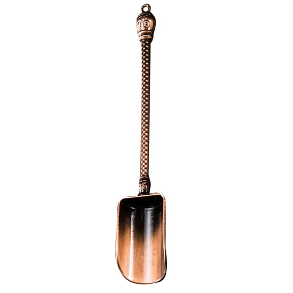 WHAMVOX Small Tea Spoons Mini Tea Spoon Tea Shovel Candy Spoon 15X2.5CM