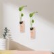 thumbnail image 5 of 2 juegos de contenedores para plantas colgantes de pared, jarrones de propagación hidropónica, tubos de ensayo para decoración del hogar, 5 of 6
