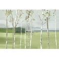 thumbnail image 2 of Pearce, Allison 32x23 White Modern Wood Framed Museum Art Print Titled - Birch Valley, 2 of 4